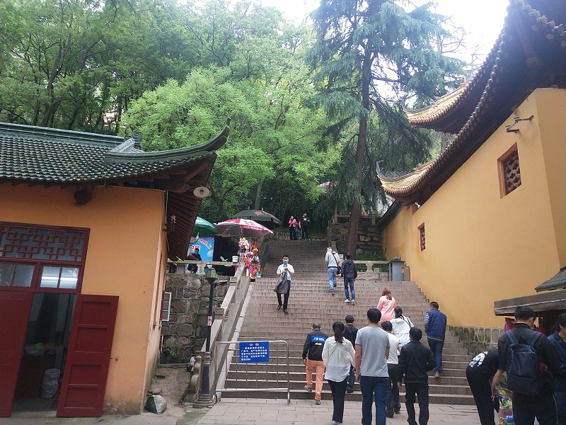 微信圖片_20200525124311 微信圖片_20200525124311